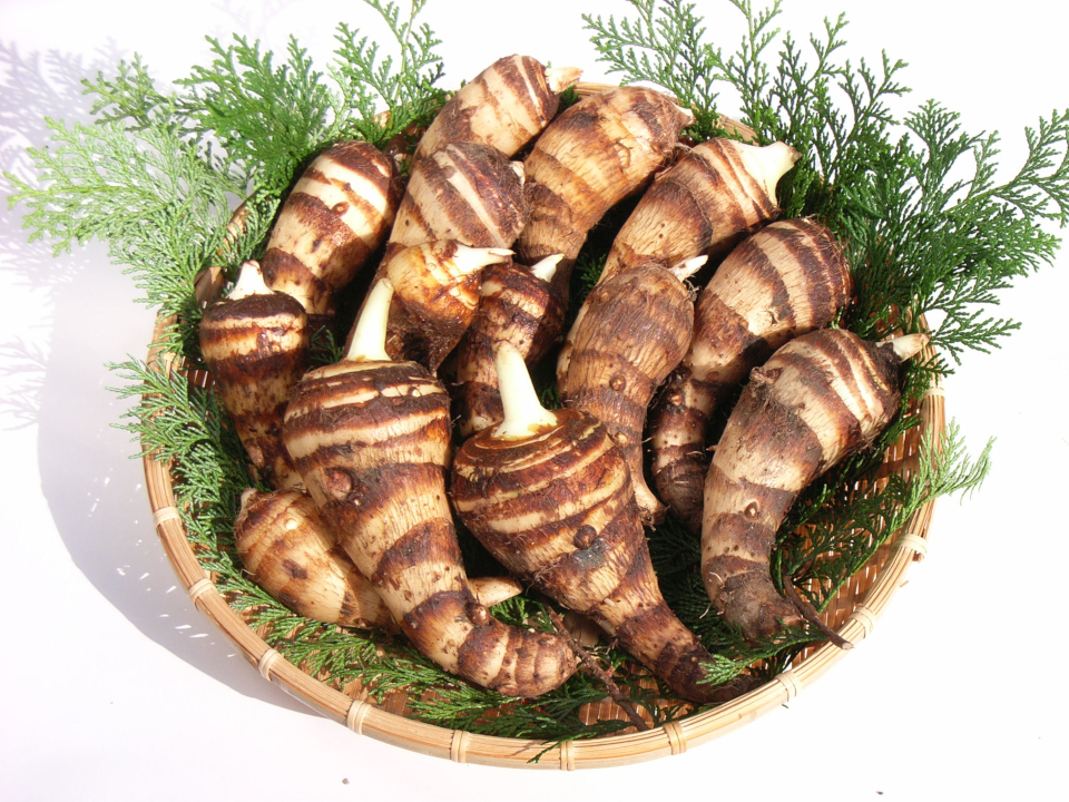 登録産品の画像