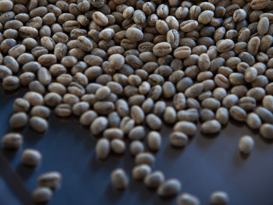 登録産品の画像