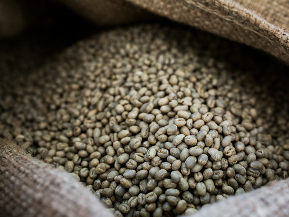 登録産品の画像