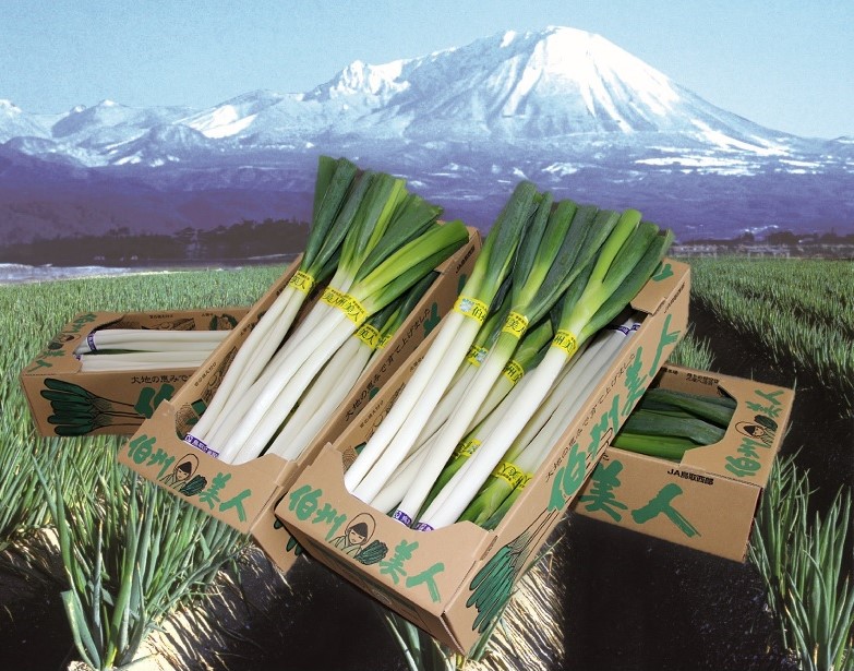 登録産品の画像