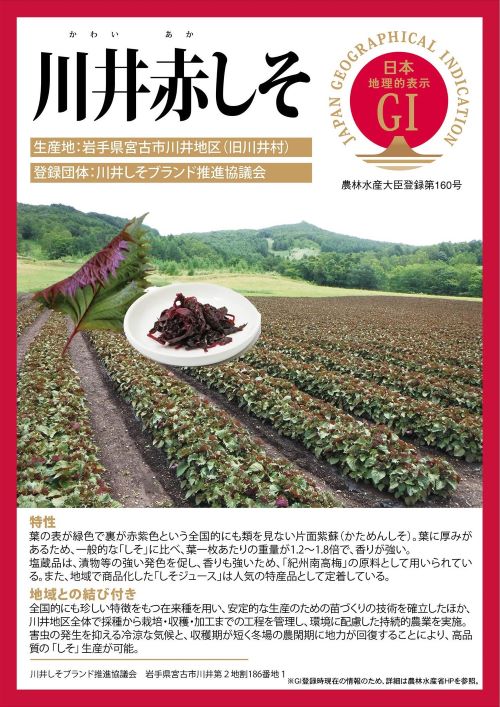 登録産品(川井赤しそ)パネルのサムネイル