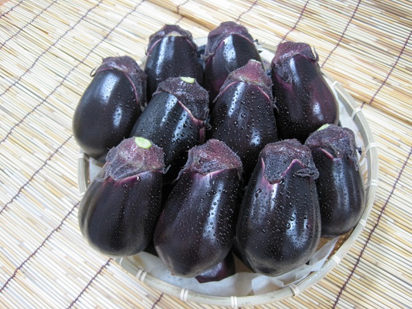 登録産品（泉州水なす）の画像