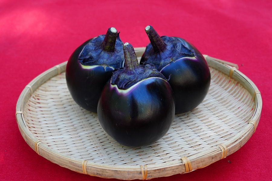 登録産品（京賀茂なす）の画像