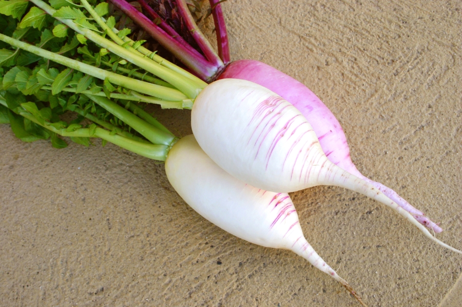 登録産品の画像