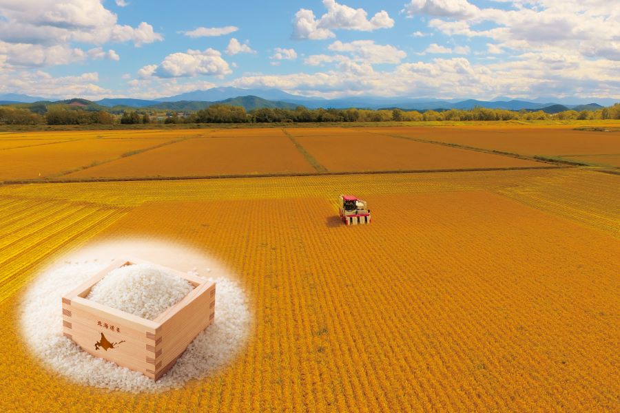 登録産品の画像