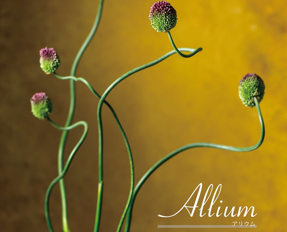 登録産品（くまもと踊る丹頂）の画像