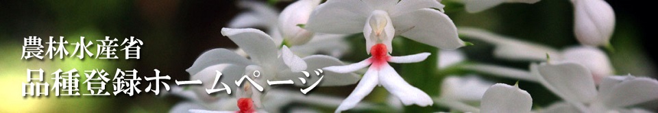品種登録ホームページタイトル