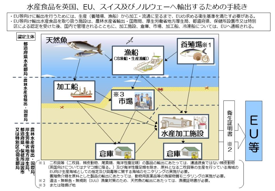 水産食品のEU等への輸出フロー