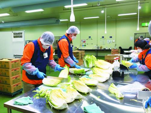 株式会社カスミみらいの野菜センター