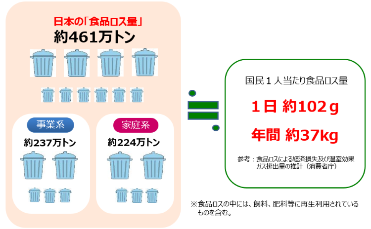 2024年度食ロス量及び１人あたり食ロス量