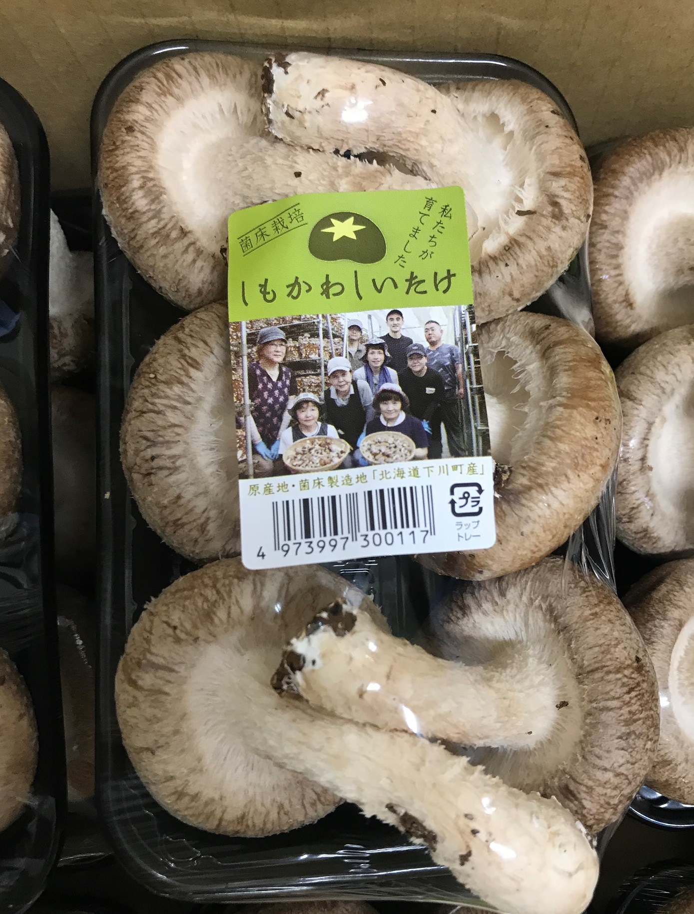 下川町のしいたけ