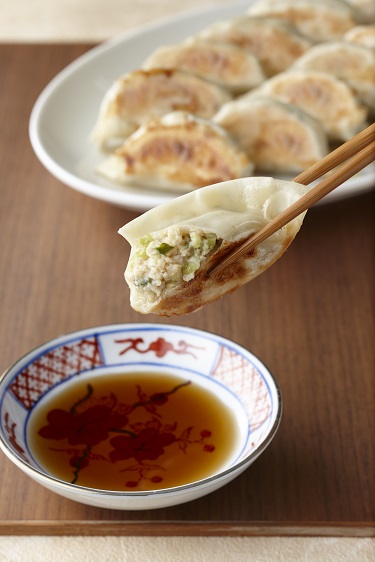 ソイルプロ餃子