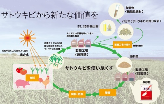 サトウキビを使い尽くす概念図