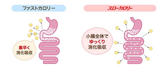 スローカロリーの推奨