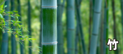 竹