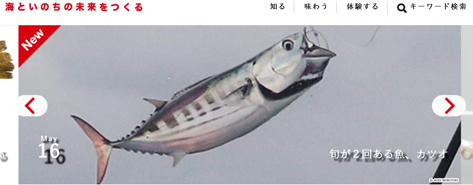 魚の情報発信サイト