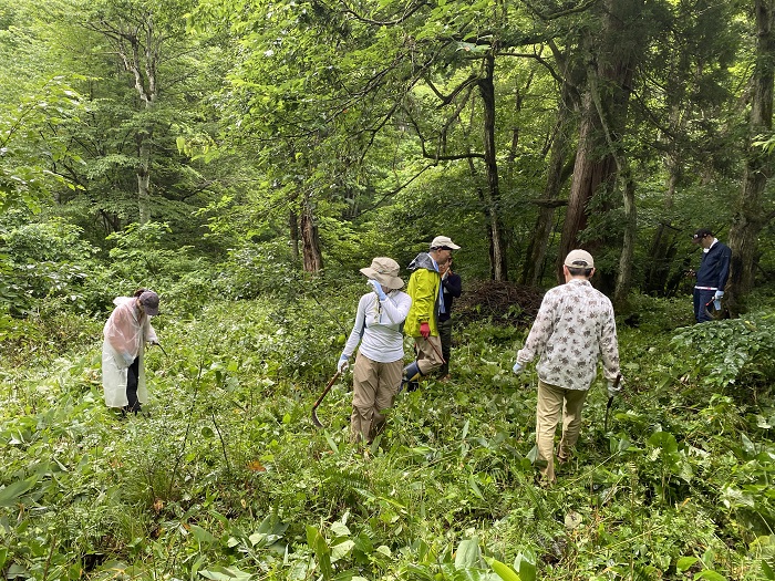 ペコちゃんの森