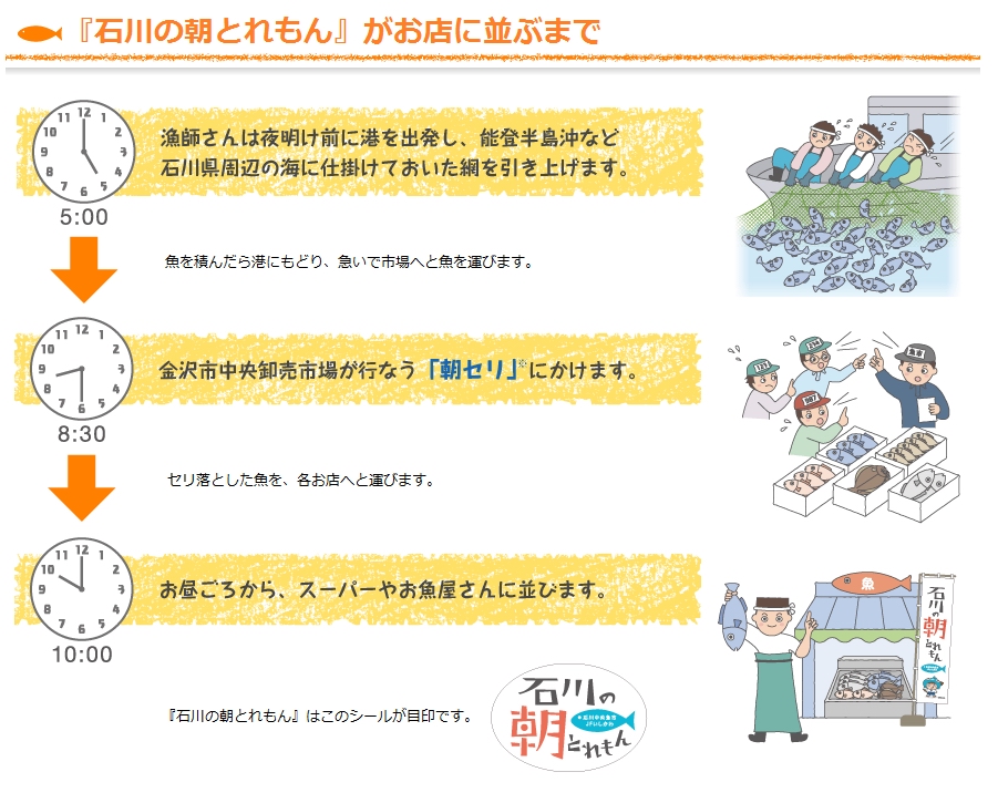 石川朝とれもん