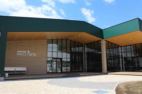 野菜生活ファーム中庭テラス