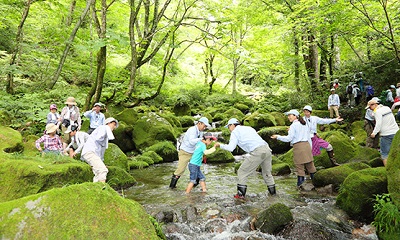 森と水の授業