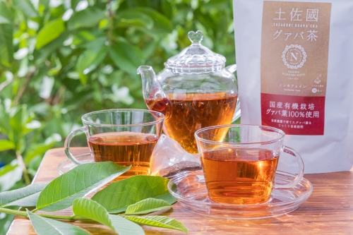 土佐國グァバ茶