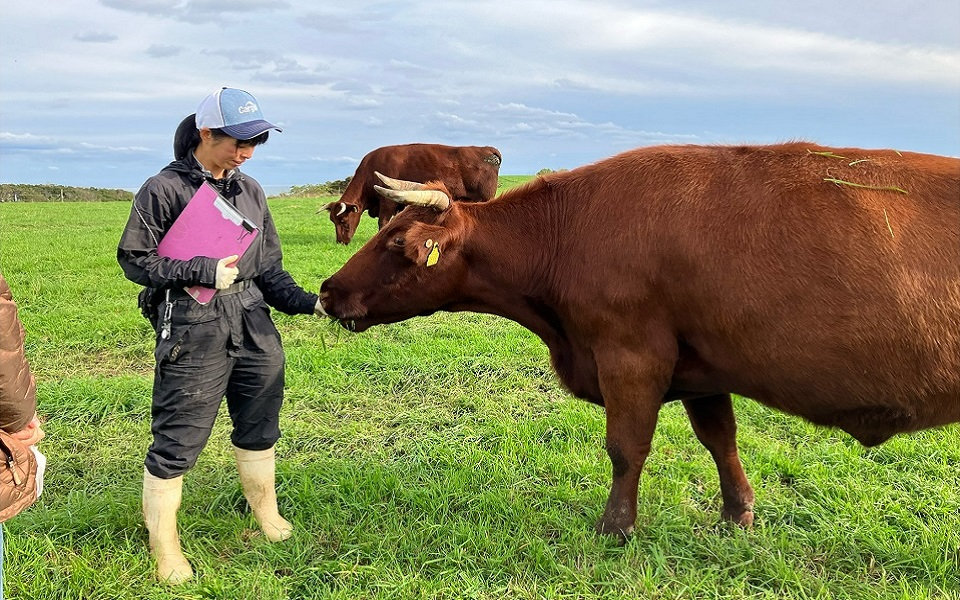 産直はなゆき農場有機牛