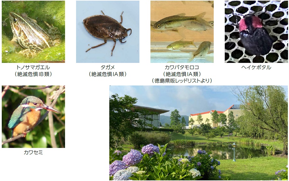 大塚製薬徳島板野工場に飛来する野鳥や動物