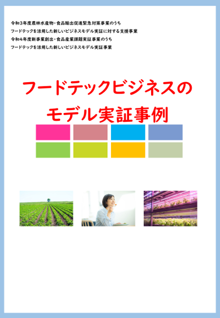 R3補正R4当初　実証事例集