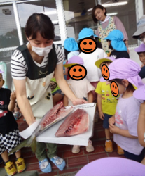 気仙沼の食べ物