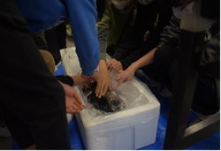 青少年水産教室