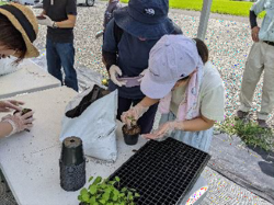 ちぎ食と農ファン