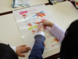 箸の正しい持ち方