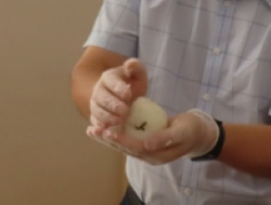 日中韓おにぎりワークショップ