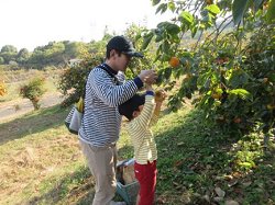 親子で果樹収穫体験