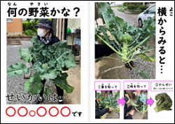 旬の野菜や郷土料理