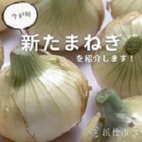 シンたまねぎ