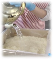 災害食試食訓練