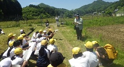田んぼで学習