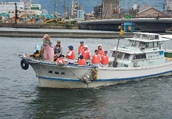 イカタコ調査隊