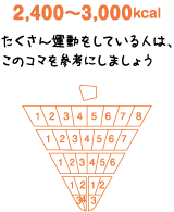 2,400~3,000kcal たくさん運動をしている人は、このコマを参考にしましょう