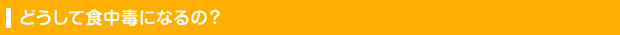 どうして食中毒になるの？