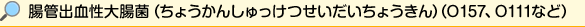 腸管出血性大腸菌（ちょうかんしゅっけつせいだいちょうきん）（O157、O111など）