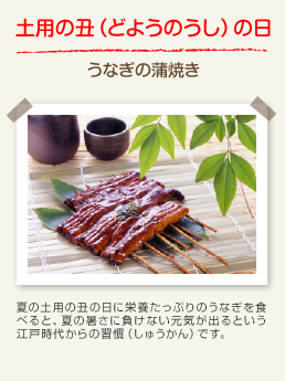 土用の丑（どようのうし）の日 うなぎの蒲焼き：夏の土用の丑の日に栄養たっぷりのうなぎを食べると、夏の暑さに負けない元気が出るという江戸時代からの習慣です。