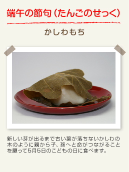 端午の節句（たんごのせっく） かしわもち：新しい芽が出るまで古い葉が落ちないかしわの木のように親から子、孫へと命がつながることを願って5月5日のこどもの日に食べます。