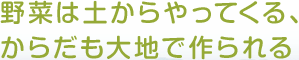 野菜は土からやってくる、からだも大地で作られる