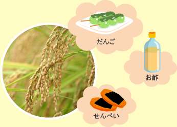 お米からできる食べ物の例:だんご お酢 せんべい