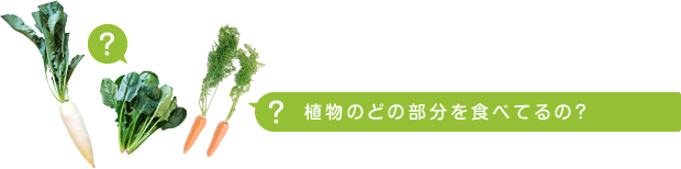 植物のどの部分を食べてるの？