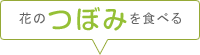 花のつぼみを食べる