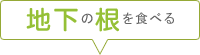 地下の根を食べる