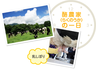 酪農家の一日